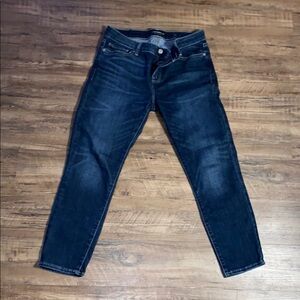 Lucky Brand 10/30 ankle Lolita skinny ankle pants
